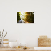 Sun Beams Through Forest in Acadia National Park Poster (Keuken)