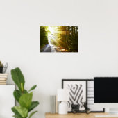 Sun Beams Through Forest in Acadia National Park Poster (Thuiskantoor)