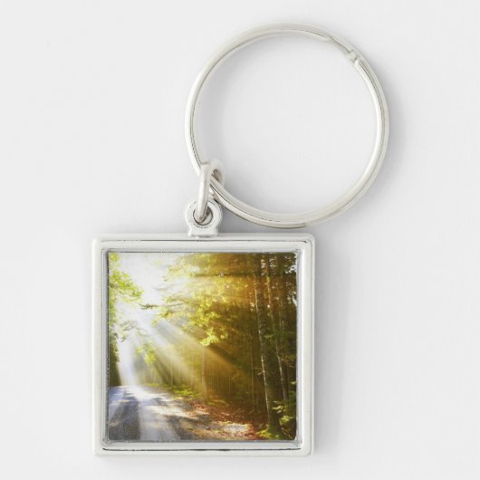 Sun Beams Through Forest in Acadia National Park Sleutelhanger (Voorkant)