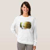 Sun Beams Through Forest in Acadia National Park T-shirt (Voorkant volledig)