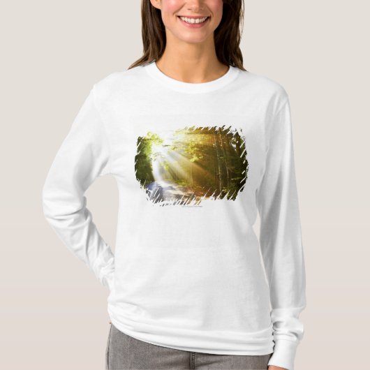 Sun Beams Through Forest in Acadia National Park T-shirt (Voorkant)