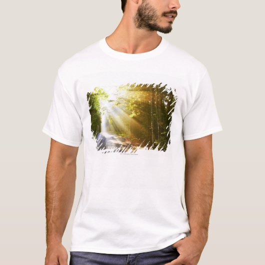 Sun Beams Through Forest in Acadia National Park T-shirt (Voorkant)