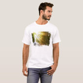 Sun Beams Through Forest in Acadia National Park T-shirt (Voorkant volledig)