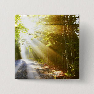 Sun Beams Through Forest in Acadia National Park Vierkante Button 5,1 Cm