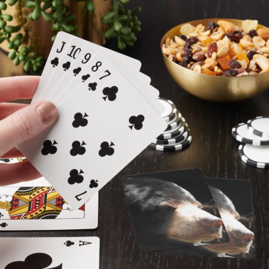 Sun Beer-afspeelkaarten Pokerkaarten (Insitu)