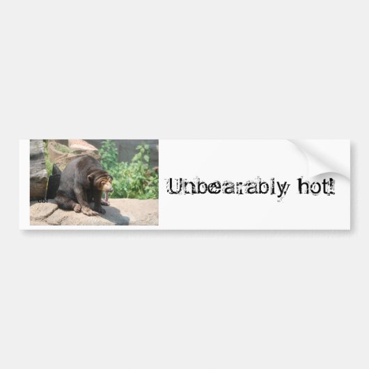 Sun Beer Bumpersticker (Voorkant)