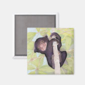 Sun Beer Cub Magnet (Voorkant / Achterkant)