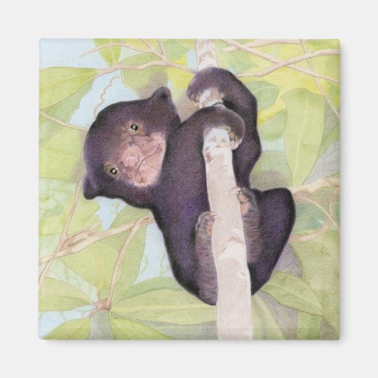 Sun Beer Cub Magnet (Voorkant)