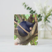 Sun Beer Feestdagenkaart (Staand voorkant)