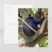 Sun Beer Feestdagenkaart (Voorkant / Achterkant)