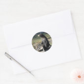 Sun Beer in de dierentuin Ronde Sticker (Envelop)