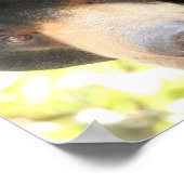 Sun Beer Poster (Hoek)