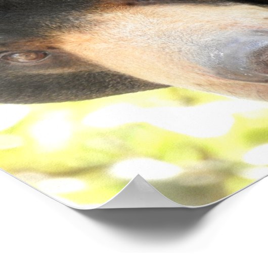 Sun Beer Poster (Hoek)