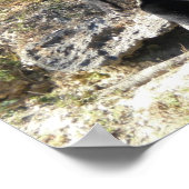 Sun Beer Poster (Hoek)