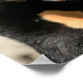 Sun Beer Posters (Hoek)