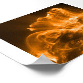 SUN BURSTS POSTER (Hoek)