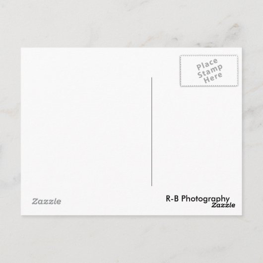 Sun Bust Post-kaart Briefkaart (Achterkant)