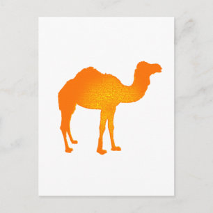Sun Camel Briefkaart
