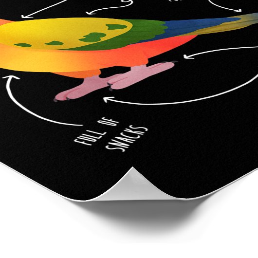 Sun Conure Anatomy Funny Cute Pet Parrot Bird Poster (Hoek)