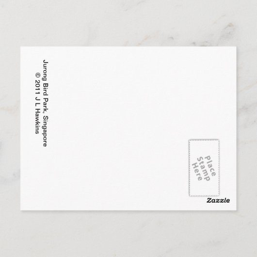 Sun Conure Bird Briefkaart (Achterkant)