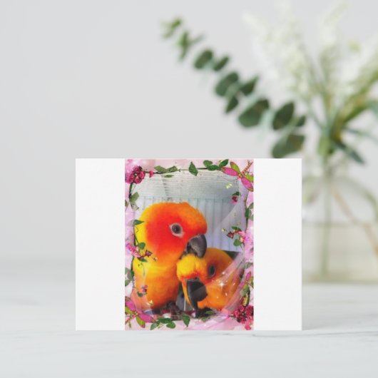 Sun Conure Briefkaart (Staand voorkant)