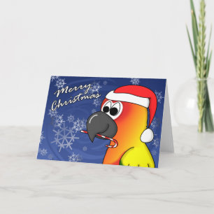 Sun Conure Christmas Kaart