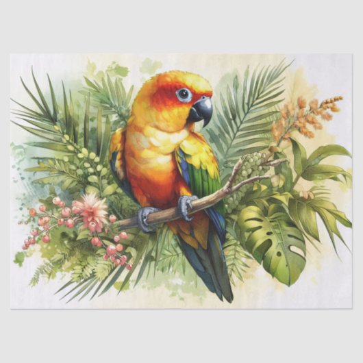 Sun Conure Decoupage Tissuepapier (Voorkant)