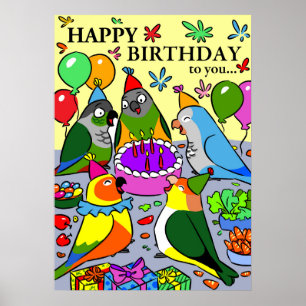 sun conure gcc quaker caique senegal parrot blij poster