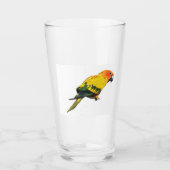 Sun Conure Glas (Voorkant)