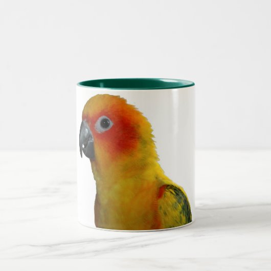 Sun Conure mok van 15 oz (Center)