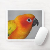 Sun Conure Muismat (Met muis)