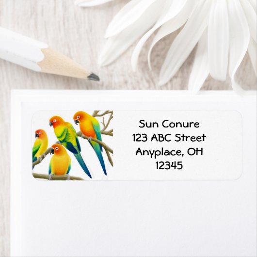 Sun Conure Papegaaien Label (Insitu)