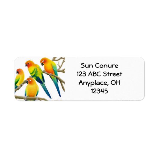 Sun Conure Papegaaien Label (Voorkant)