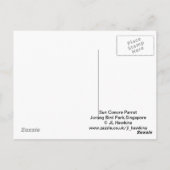 Sun Conure Parrot Briefkaart (Achterkant)