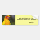 Sun Conure Parrot Bumpersticker (met tekst) (Voorkant)