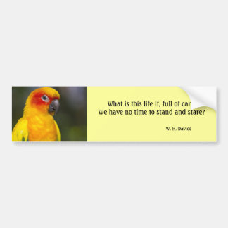 Sun Conure Parrot Bumpersticker (met tekst)