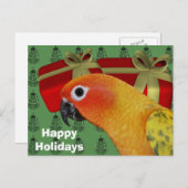 Sun Conure Parrot-kerstfeestdag-Briefkaart Feestdagenkaart (Voorkant / Achterkant)
