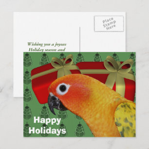 Sun Conure Parrot-kerstfeestdag-Briefkaart Feestdagenkaart
