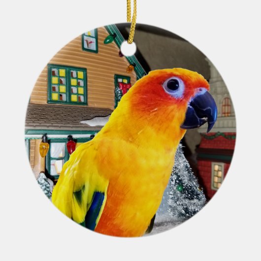 Sun Conure Parrot-kerstversiering Keramisch Ornament (Voorkant)