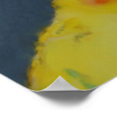 Sun Conure Parrot Pair Bird Art Poster (Hoek)