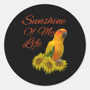 Sun Conure Parrot Sunshine Ronde Sticker