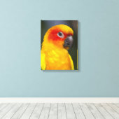 Sun Conure Parrot verpakt Canvas (Insitu (Houten vloer))