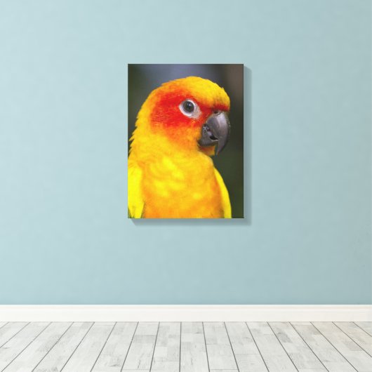 Sun Conure Parrot verpakt Canvas (Insitu (Houten vloer))