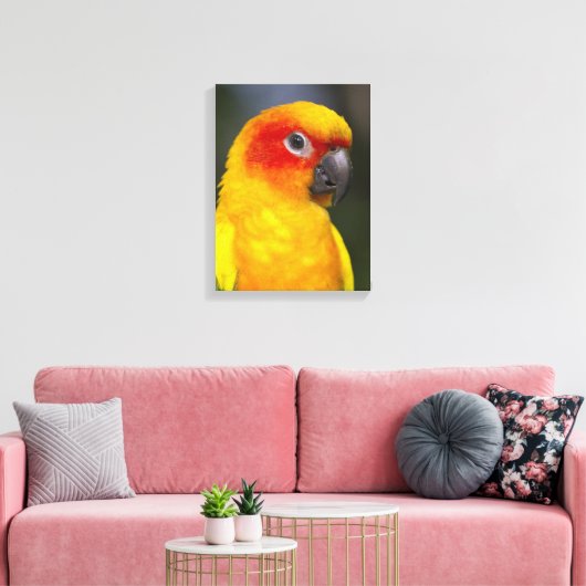 Sun Conure Parrot verpakt Canvas (Insitu (Woonkamer))