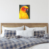 Sun Conure Parrot verpakt Canvas (Insitu (Slaapkamer))