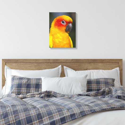 Sun Conure Parrot verpakt Canvas (Insitu (Slaapkamer))
