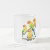 Sun Conure parrots, diepgevroren glazen Mok (Voorkant rechts)
