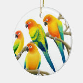 Sun Conure Parrots Ornament (Links)