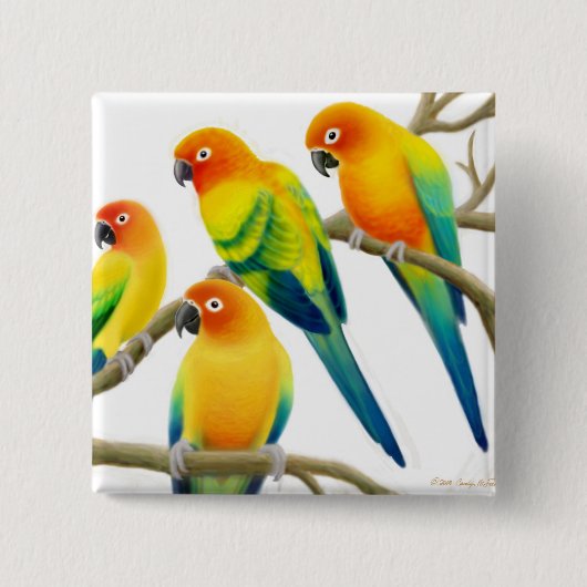 Sun Conure Parrots Pin Vierkante Button 5,1 Cm (Voorkant)
