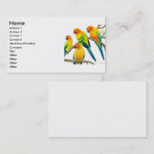 Sun Conure Parrots Visitekaartje (Voorkant / Achterkant)